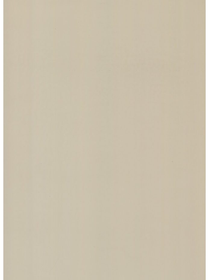 ÉLANYAG ABS I-2360 ÉLZÁRÓ 22X1 MM MIAMI BEACH