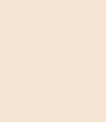 BÚTORLAP KASTAMONU D102 PS14 BEIGE 2800*2070*18MM TÁBLA