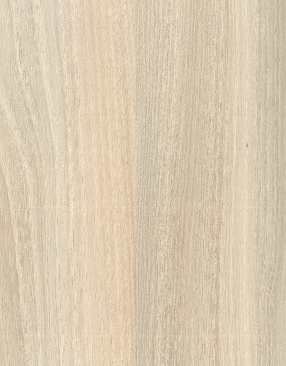 MUNKALAP KASTAMONU A809PS51 MOLDÁV AKÁC 38MM KONFEKCIONÁLT