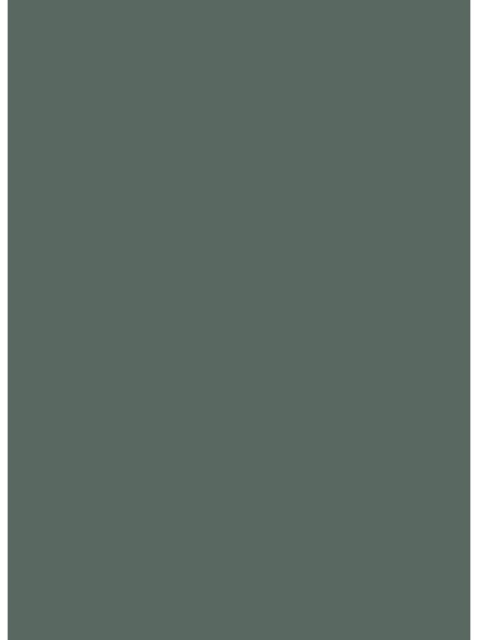 ÉLANYAG ABS I-2670 ÉLZÁRÓ 43X1 MM AMAZONAS GREEN