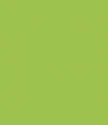 BÚTORLAP EGGER U630 ST09 LIME ZÖLD 18MM TÁBLA